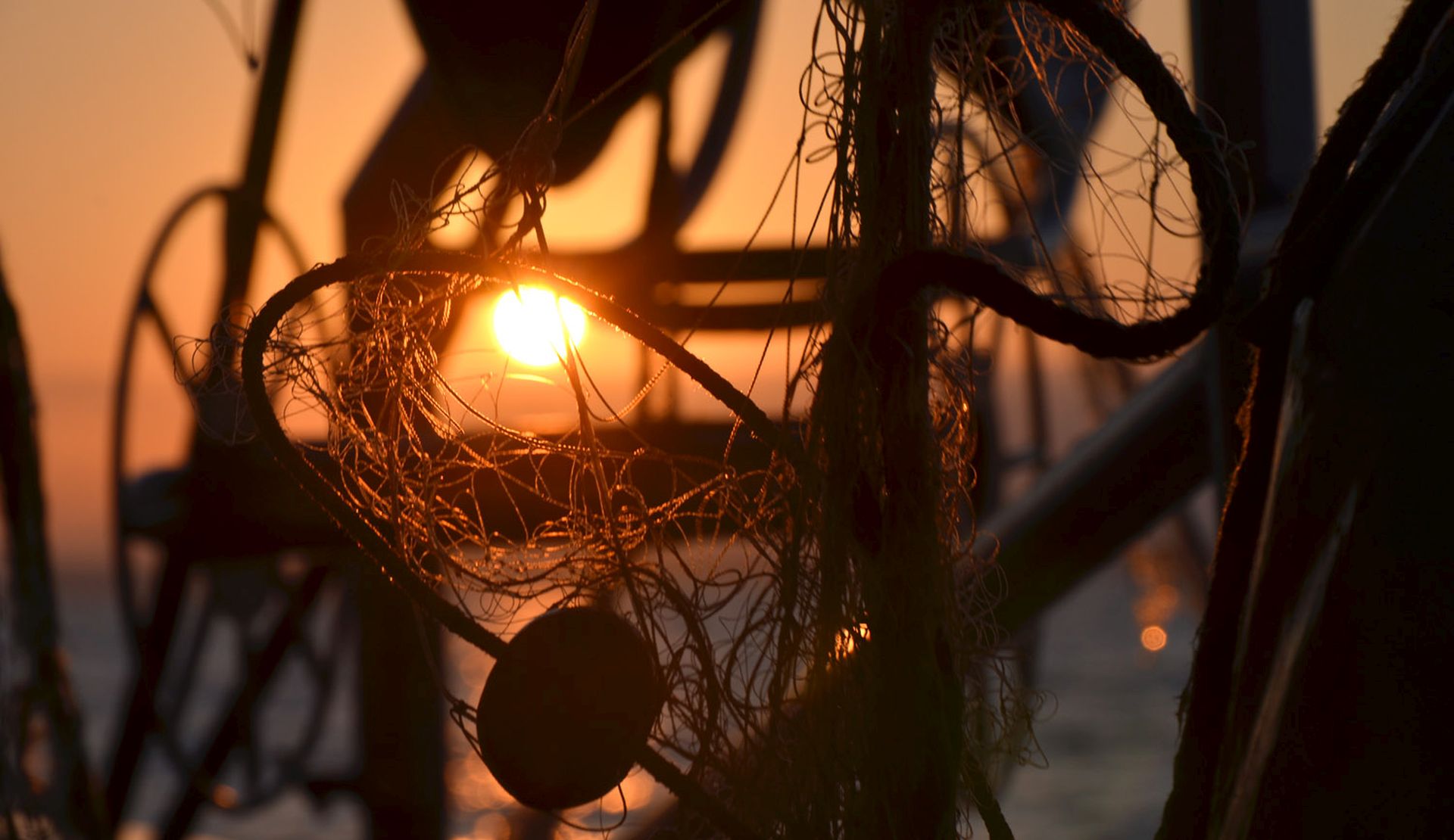 alba sulle reti dei pescatori di Viareggio