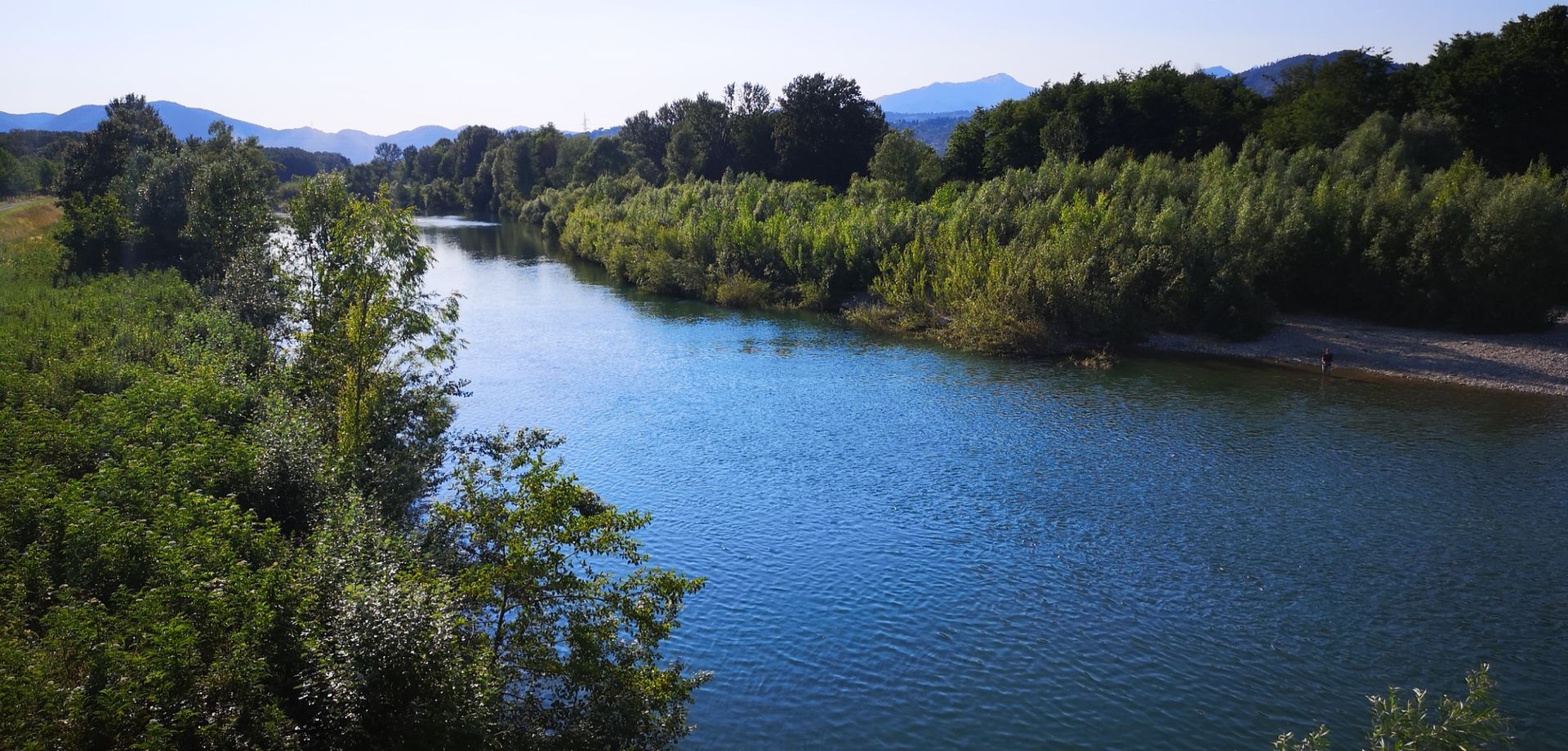 il fiume serchio in estate scorre tra una fitta vegetazione