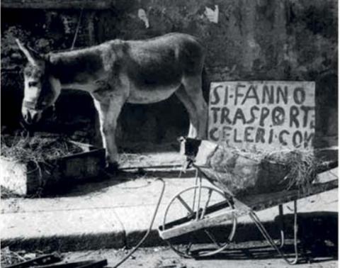 un asino davantia una carriola con la scritta "si fanno consegne veloci"